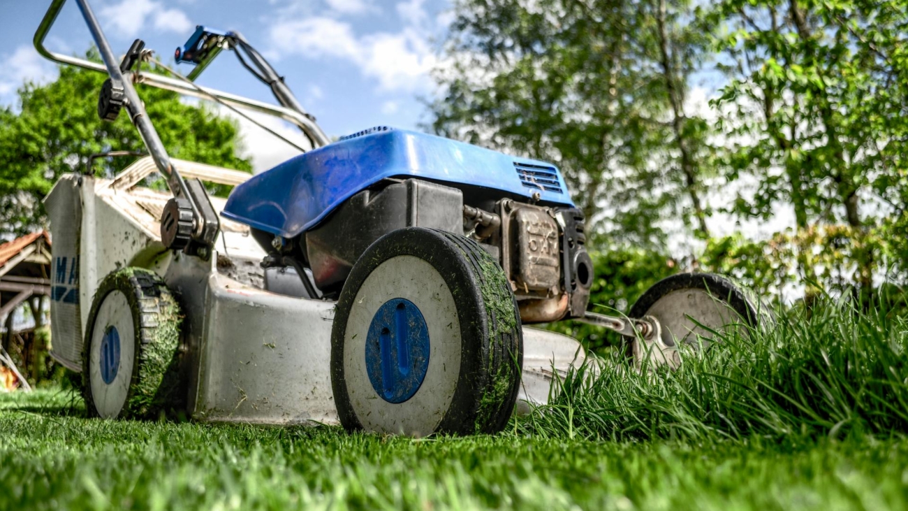 Lawn Care